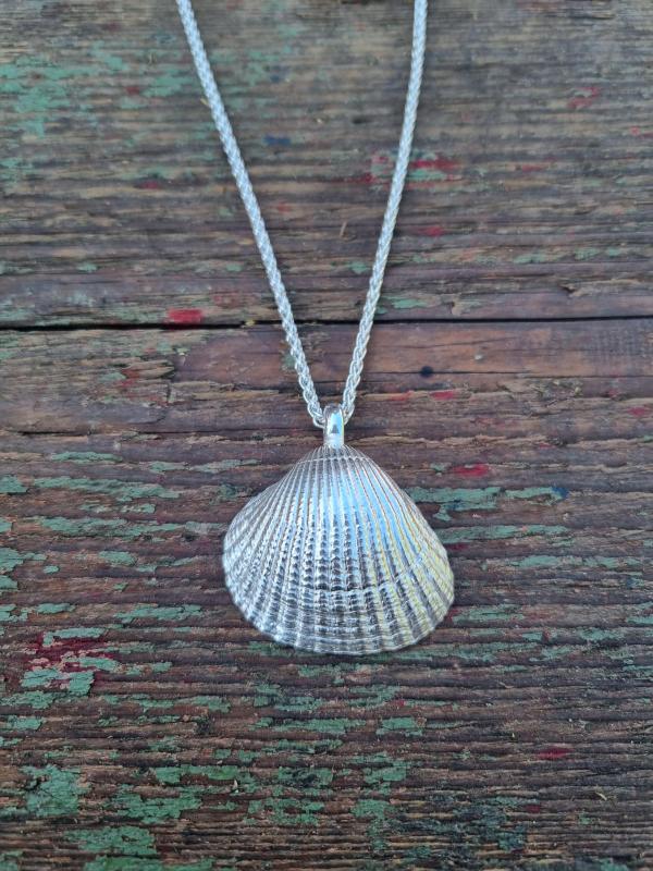 Herzmuschel - die „Große“